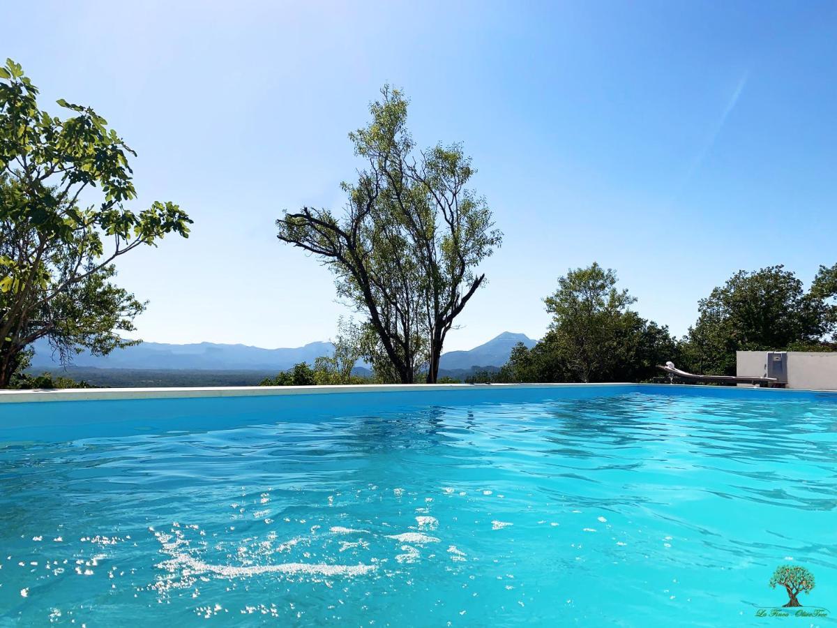 La Finca Olivetree Katuni Exterior photo