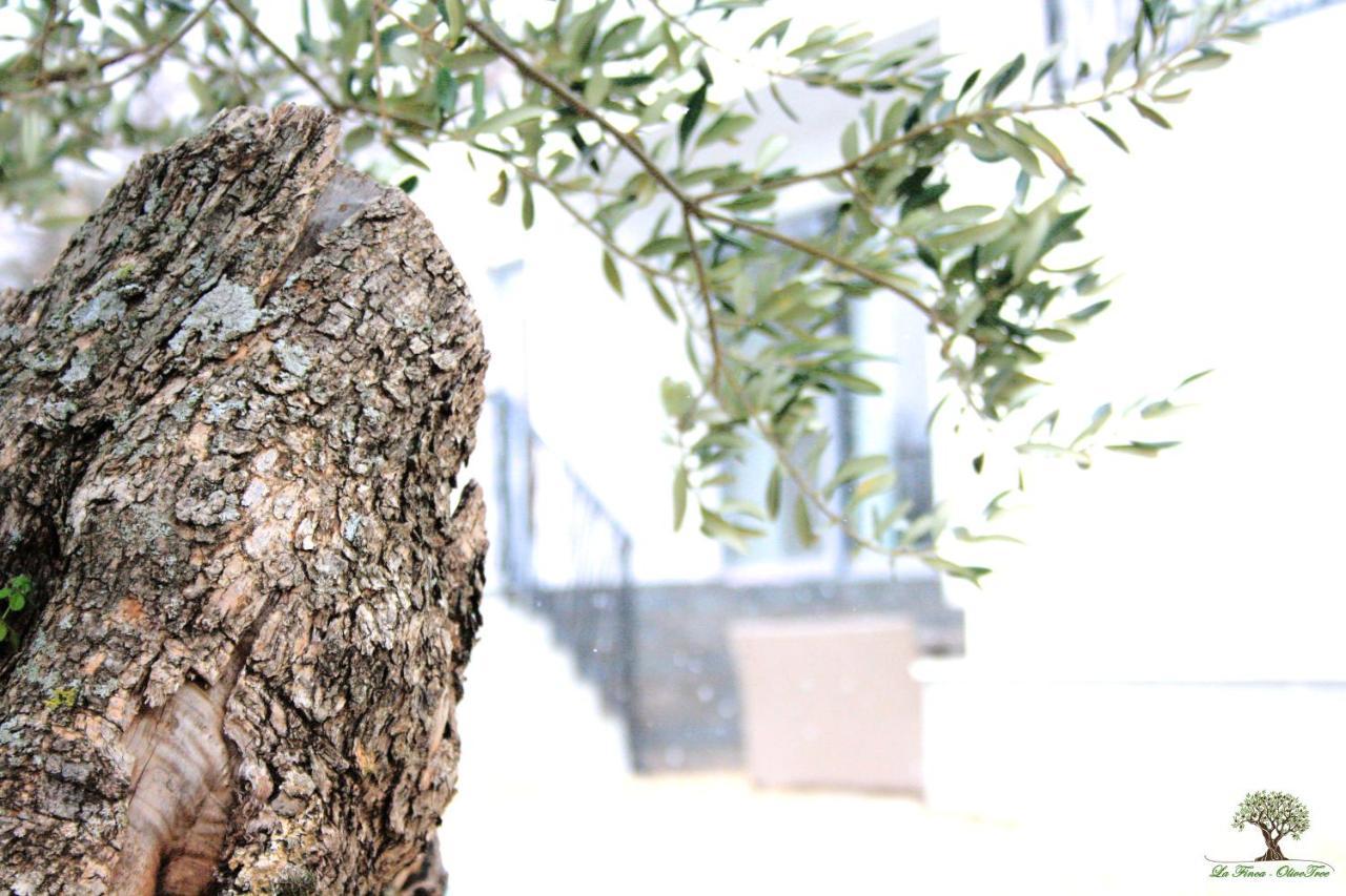 La Finca Olivetree Katuni Exterior photo